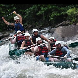 Meet your Posher, Harrison